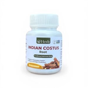 Indian Costus Root – Respiratory Wellness Herb